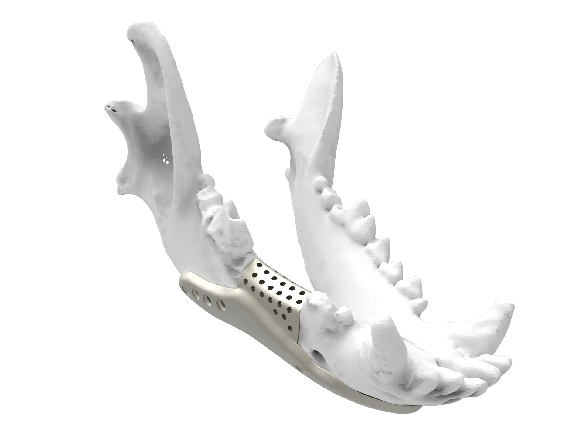 Veterinary implant type 1